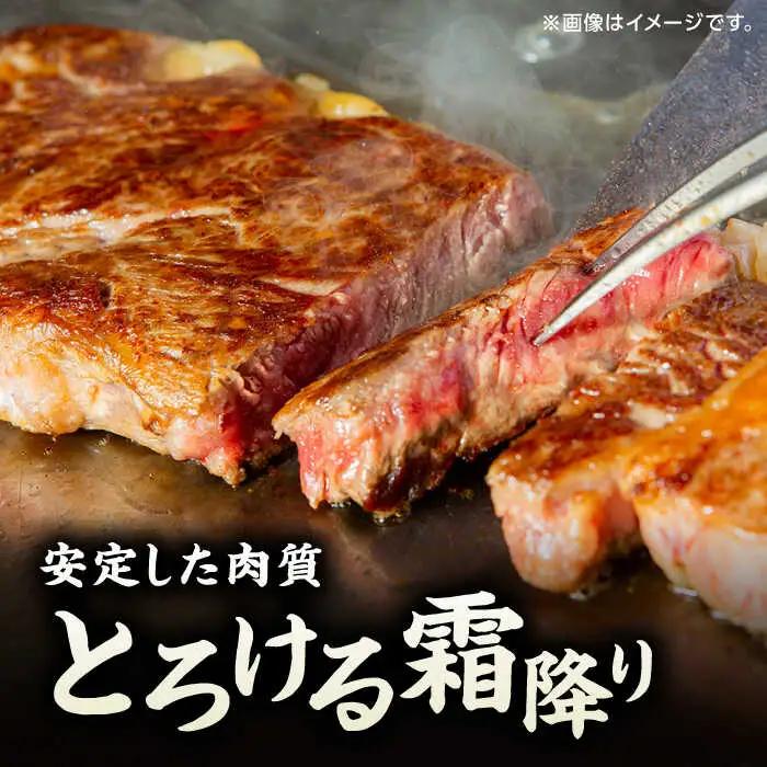 【12回定期便】くまもと黒毛和牛 ステーキ食べ比べ ヒレステーキ×4枚 サーロインステーキ×4枚【馬刺しの郷 民守】熊本 霜降り ヒレ サーロイン ステーキセット [ZBL115]