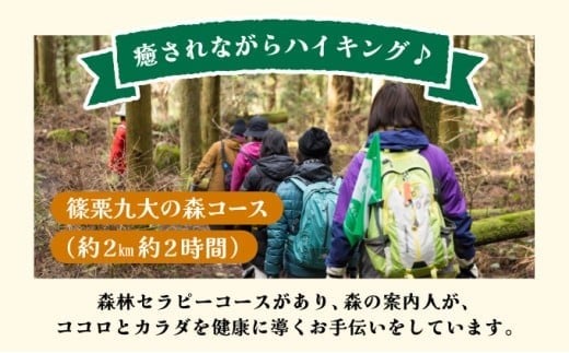 篠栗町森林セラピー体験1～3名様【篠栗九大の森コース（約2km/約2時間）】FZ005 | 森林 セラピー ハイキング 自然 体験 森 観光 四国八十八ヶ所霊場 お遍路 篠栗町