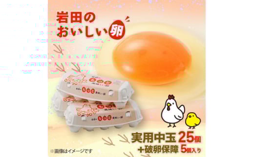 岩田のおいしい卵実用中玉30個(10個入り×3パック)【1039740】