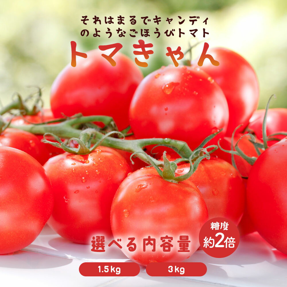 【ふるさと納税】ミニトマト 1.5kg~3kg 選べる 香川農園 三豊市産トマト プチトマト 訳あり ぎゅっと詰まった太陽のエネルギー 新鮮そのまま 健康と美味しさの両立 一口で感じるフレッシュ 一日分のビタミンチャージ 香川県 三豊市 トマト トマト好き トマト農家 1kg以上