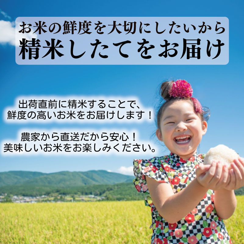 令和8年産 にこまる 白米 4ヵ月連続 定期便 5kg × 4回 20kg 