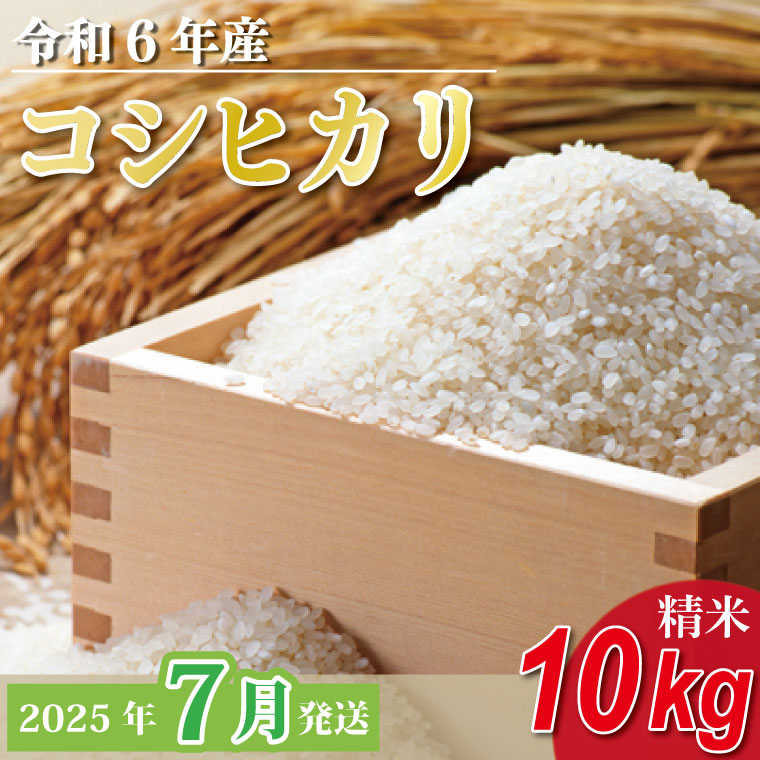 【2025年7月発送】★数量限定★令和6年 茨城県産コシヒカリ 10kg｜米 お米 こめ こしひかり コシヒカリ 数量限定 期間限定 令和6年産 茨城県産 行方市 人気 送料無料(CU-328-1)