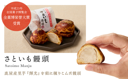 1681 ふるさと小包みセット（鹿屋のお菓子25個入） KN017-001 菓子