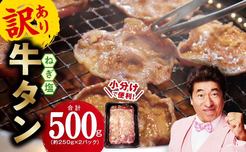 G1760 ねぎ塩 牛たん お試し 500g【小分け 250g×2 成型 牛タン 牛肉 焼肉用 薄切り 訳あり サイズ不揃い】