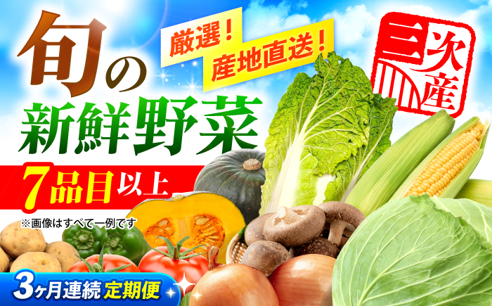 【全3回定期便】厳選！農夫のお野菜セット 旬の野菜 詰め合わせ 野菜セット 盛り合わせ 三次市/布野特産センター [APBA015]