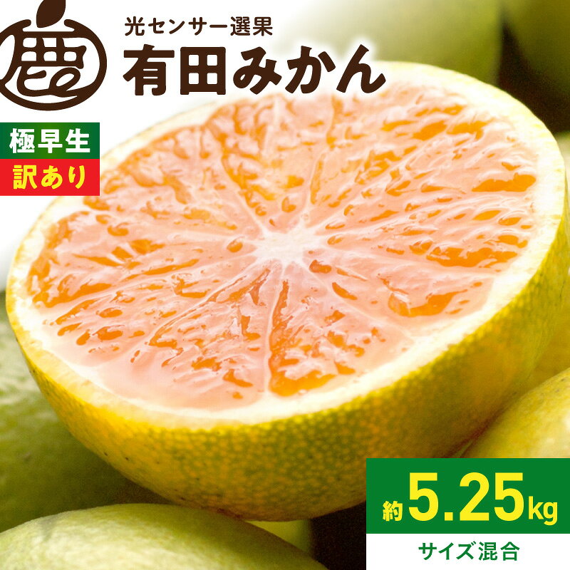 【ふるさと納税】＜9月より発送＞ 家庭用 極早生有田みかん 5kg + 250g （傷み補償分） サイズ混合 【YN26・ゆら早生】 【訳あり】 【光センサー選果】