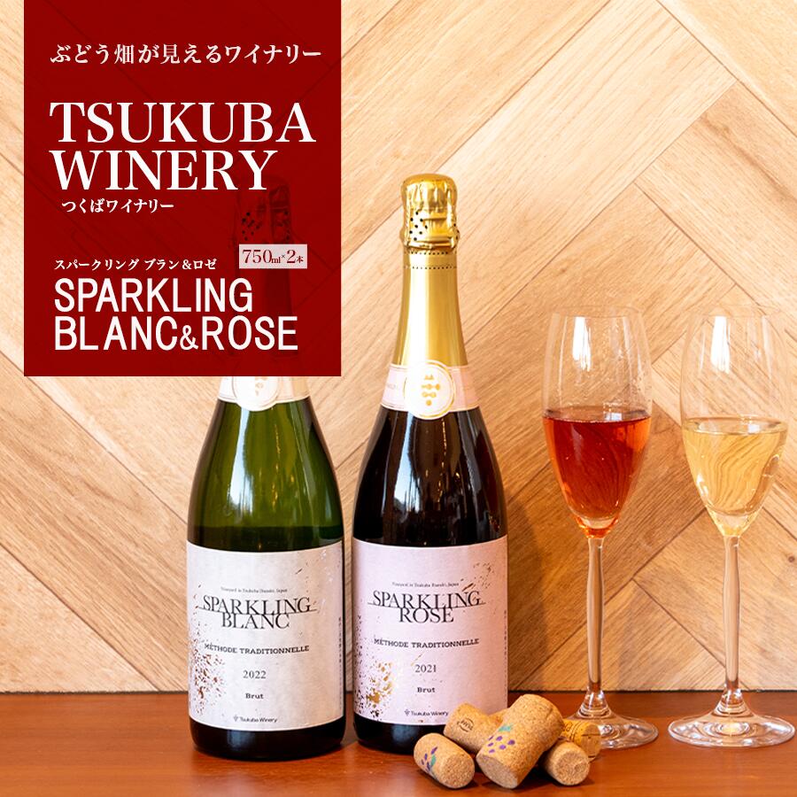 【ふるさと納税】ワイン 750ml×2本 SPARKLING BLANC & ROSE セット つくばワイナリー | お酒 葡萄 ぶどう ブドウ 茨城県 つくば市 ワイナリー ワイン ロゼワイン スパークリングワイン 日本ワイン 国産ワイン