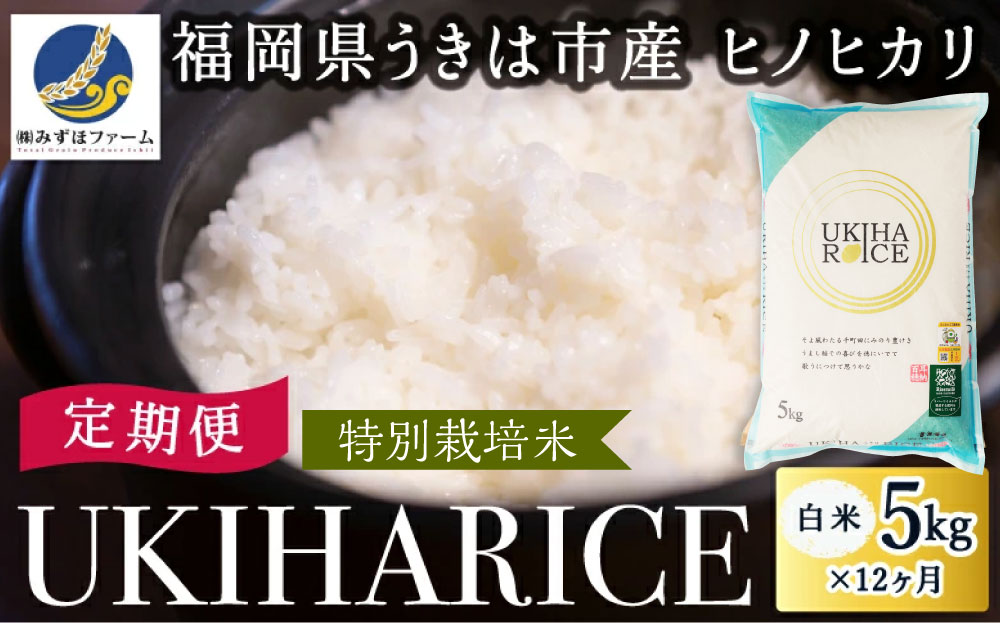 【12ヶ月定期便】みずほファーム UKIHA RICE (白米5kg×12ヶ月)  【特別栽培米】 【2025年11月より順次発送予定】 米 ヒノヒカリ お米 ご飯 うきは市