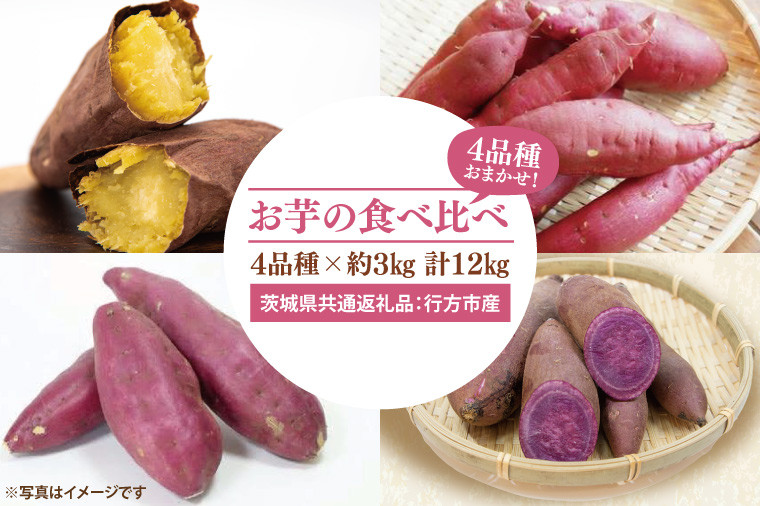 
                  【先行予約】お芋の食べ比べ さつまいも 4品種×約3㎏ 計12㎏（茨城県共通返礼品：行方市産）※2025年10月上旬～2026年3月下旬頃に順次発送予定（CD089）
                
