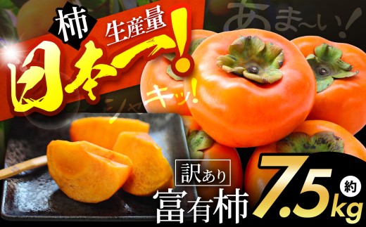 シャキッと甘い！ 訳あり 富有柿 約 7.5kg | フルーツ くだもの 果物 柿 かき カキ  奈良県 五條市 訳あり 家庭用 自宅用 どっさり たっぷり 種なし 種無し 種なし柿 産地直送 国産 人気 送料無料 グルメ お取り寄せ 大容量 ビタミン 食物繊維 豊富 秋 旬 奈良県 五條市