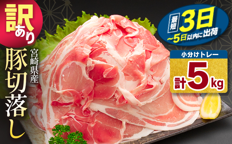 ＜最短3日～5日以内出荷＞［訳あり］宮崎県産 豚切り落とし 計5kg 国産 小分け 便利 お弁当 豚丼 炒め物 ぶた肉 ブタ肉 butaniku ポーク pork スピード便【C325-2506-5D