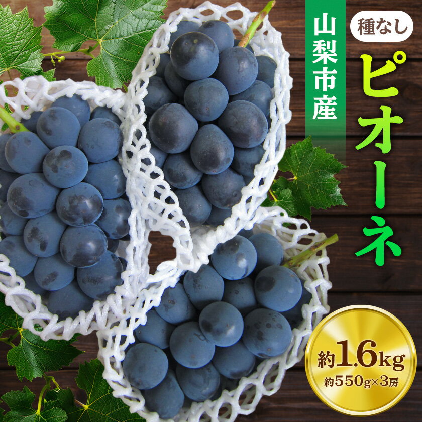 【ふるさと納税】【2026年先行予約】ピオーネ 約550g×3房 山梨市産 「ピオーネ(種なし)」 詰め合わせ_ ふるさと納税 ふるさと ぶどう ブドウ 葡萄 フルーツ 果物 くだもの 人気 美味しい 山梨県 山梨市 山梨 【配送不可地域：離島・沖縄県】【1117301】
