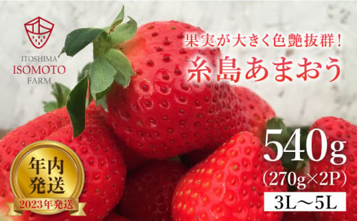 【 年内 発送 】糸島の美味いあまおう 270g × 2パック (A品B品含む3L～5L) 糸島市 / 磯本農園 / TANNAL [ATB021]