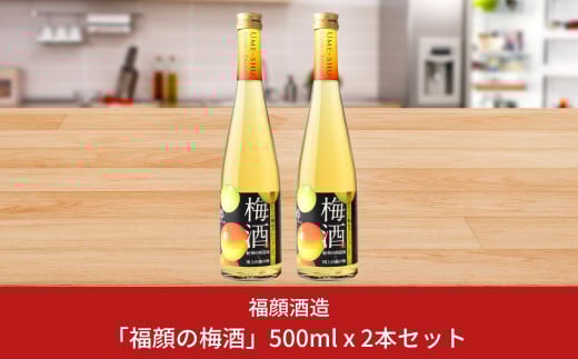 ふたつの梅をブレンドした「福顔の梅酒」500ml×2本セット 梅酒 リキュール [福顔酒造] 10000円以下 1万円以下 【010S241】