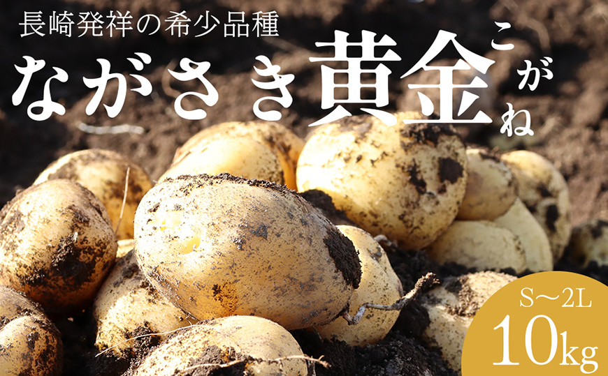 
                  BH049 じゃがいも 希少品種 ながさき黄金 S〜2Lサイズ混合 約10kg [ 野菜 芋 ジャガイモ 10キロ ほくほく 先行予約 常備野菜 サイズ混同 国産 贅沢宝庫 長崎県 島原市 ]
                