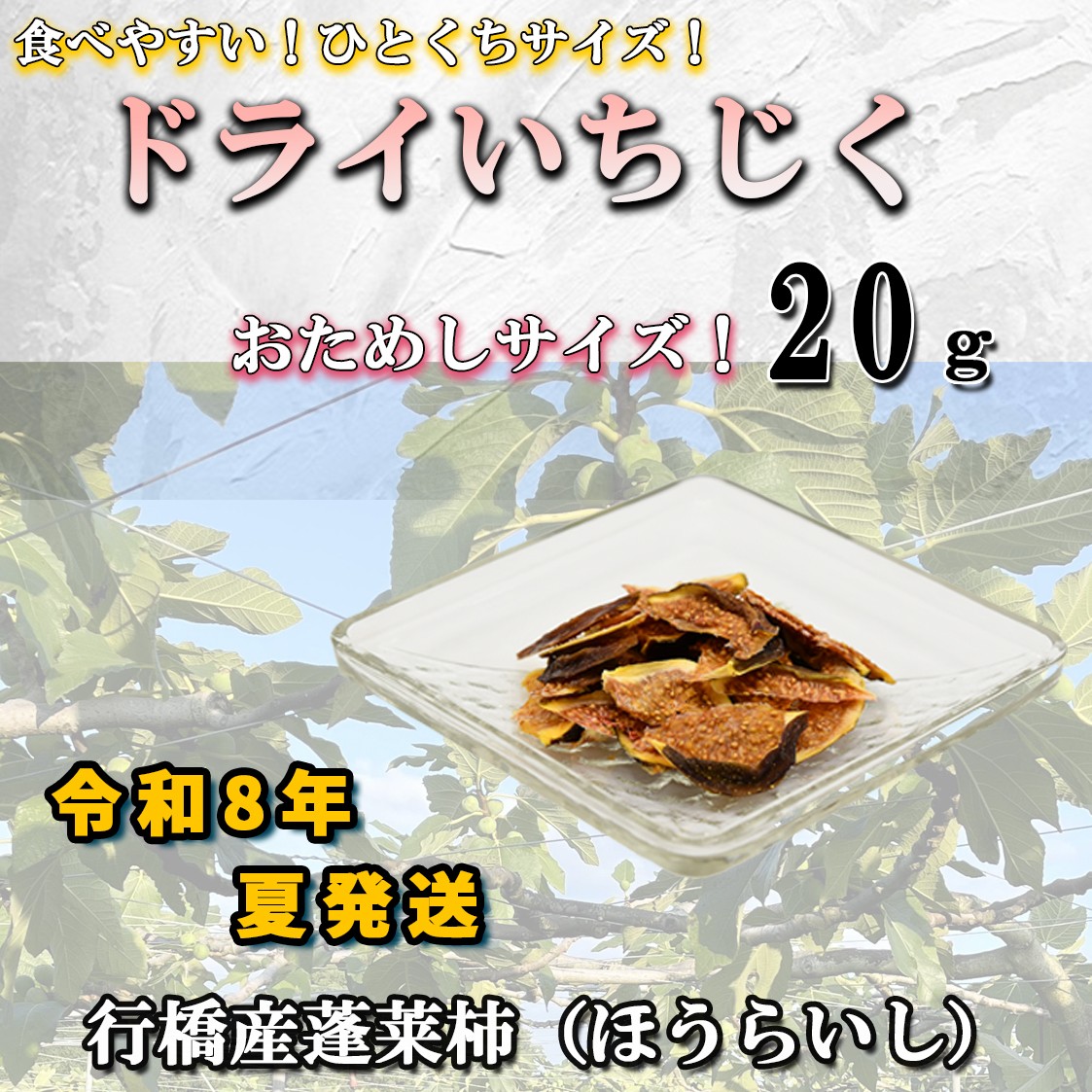 
                  AO-030_乾燥蓬莱いちじく20g
                
