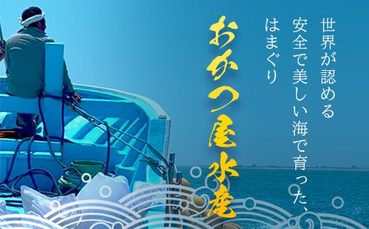 【千葉県ブランド認定】天然大粒活はまぐり（中玉）《3kg》ギフトBOX付き／ふるさと納税 はまぐり ハマグリ 蛤 貝類 魚介 海鮮 お吸い物 パスタ パエリア お歳暮 贈答 お祝い 千葉県 山武市 S
