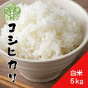 【ふるさと納税】【令和6年産】新米 コシヒカリ 白米 5kg《 特別栽培米 》重永農産 世羅 こしひかり ごはん お米 米 おにぎり お弁当 令和6年 A058-02