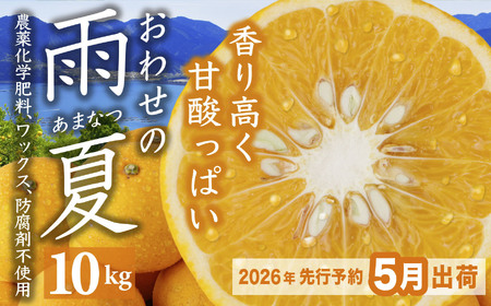 【先行予約 ５月出荷】 おわせの雨夏（あまなつ）  10kg　無農薬 ワックス・防腐剤不使用 木成り 完熟 甘夏  ギフト 贈答 日用 でも使える 三重 尾鷲 の 柑橘 特産品  TK-17