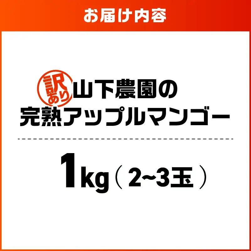 【 2027年 先行予約 】【 訳あり 】 甘い香り の 贈り物 ！ 山下農園 の 完熟アップルマンゴー 1kg （ 2～3玉 ） W063-004-01 わけあり 期間限定 果物 マンゴー