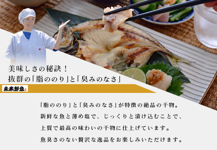 【定期便 12回】大月海の幸セット（大）