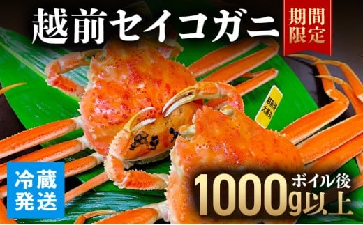 越前セイコガニ 　ボイル後1,000g以上 (ボイル前1,150g前後) 冷蔵 お届け時期：11月10日以降順次発送【マイマルシェ 敦賀 越前蟹 カニ 蟹 セイコガニ 海鮮 かに鍋 かにしゃぶ NEW 新規】[090-a016]