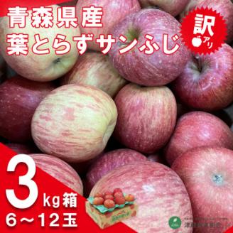 令和6年1月中旬より発送 訳アリ 葉とらずサンふじ3キロ箱 6～12玉 津軽産直組合直送!【配送不可地域：離島】