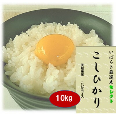 【ふるさと納税】筑波山麓産米を中心に厳選した【茨城県産こしひかり】白米10kg 令和7年産_ 米 お米 コメ ブランド米 こしひかり コシヒカリ 精米 白米 ごはん おにぎり 手巻き寿司 茨城県 送料無料 贈答 ギフト 【配送不可地域：離島・沖縄県】【1700082】