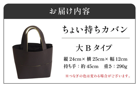 フタカチ・ちょい持ちカバン  大Bタイプ（２枚）