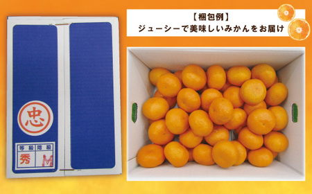 24-502．【早期受付・期間限定・数量限定】土佐南国育ち！甘いがうまい！温州みかん 5kg【2024年12月中旬～2025年1月上旬配送】