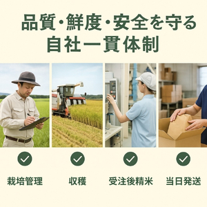 【先行予約】新米 5kg たはらの お米 おこめ 米 コメ ごはん ご飯 おかず 白飯 白ごはん お弁当 精米 お取り寄せ 災害 備え 愛知県 田原市 人気