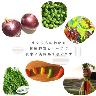 ふるさと納税 淡路市 【定期便】彩り野菜と香るハーブセット　3回お届け野菜セット　ah11804 |  | 02