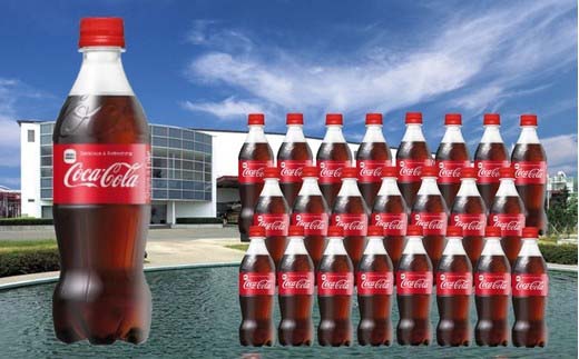 【5か月連続お届け】コカ・コーラ　500ml PET×24本　【04301-0033】