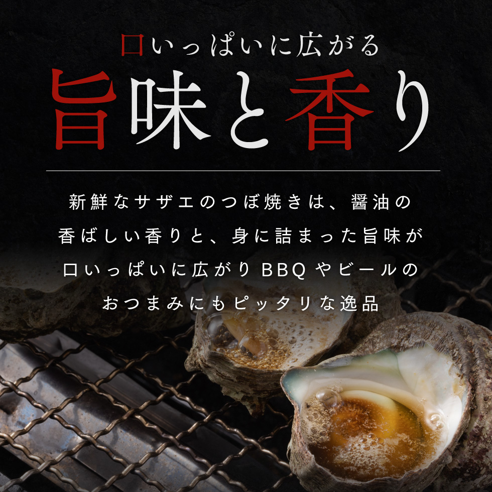 活さざえ 約2kg セット 詰め合わせ 若狭湾産 活 さざえ サザエ 貝 貝類 魚介 魚介類 海鮮 海鮮セット 新鮮 福井 福井県 若狭町