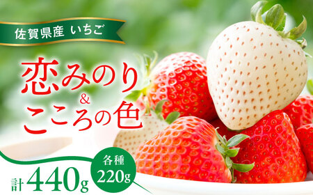 【先行予約】恋みのり・こころの色 220g×2パック（各1パック） / 佐賀県 / 鐘ヶ江農園[41ASBK007]