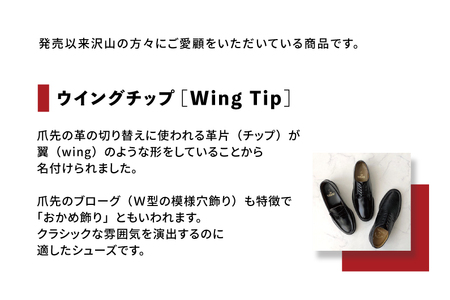 REGAL 2589 NT ウイングチップ ブラック 25.0cm リーガル ビジネスシューズ 革靴 紳士靴