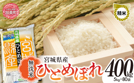 令和7年産 無洗米ひとめぼれ400kg(5kg×80袋) 