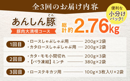 【3回定期便】あんしん豚 豚肉大満喫コース 計2.76kg 白川町 / 藤井ファーム[AWAF072]