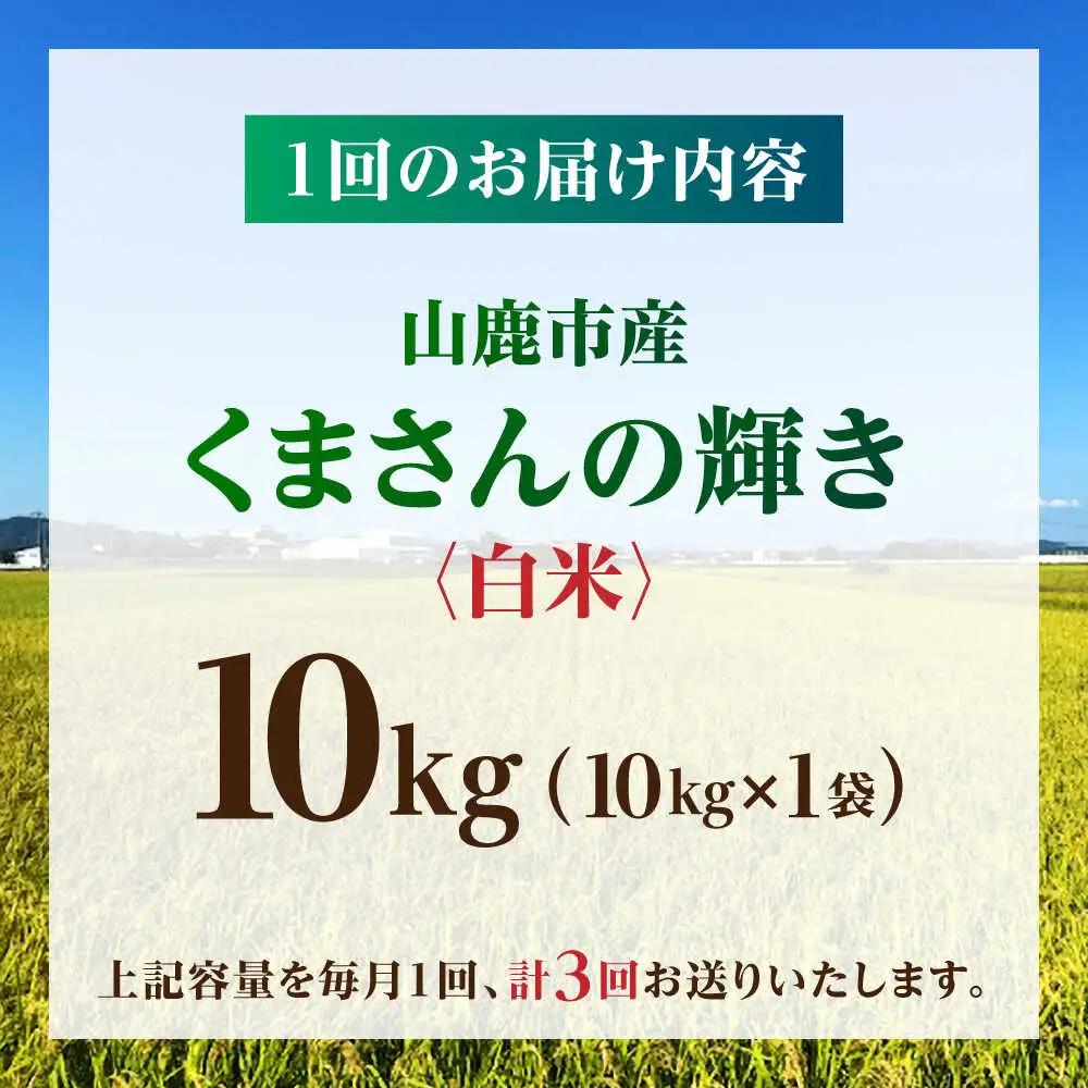 【先行予約】【3回定期便】くまさんの輝き 白米  10kg 山鹿市産【奥村果実園】[ZFK021]