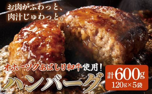 ＜網走産＞【オホーツクあばしり和牛】ハンバーグ・総重量 600g（120g×5個） 【 ふるさと納税 人気 おすすめ ランキング 牛ハンバーグ オホーツクあばしり和牛 和牛100% 北海道 網走市 送料無料 】 ABW016