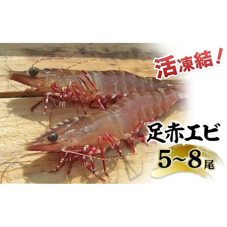 活凍結シリーズ　活凍結 足赤エビ 5～8尾×1P エビ えび 海老 魚介 海鮮 高級魚 急速凍結 鮮度保持 真空パック 便利 ギフト 贈答用 兵庫県 洲本市 淡路島