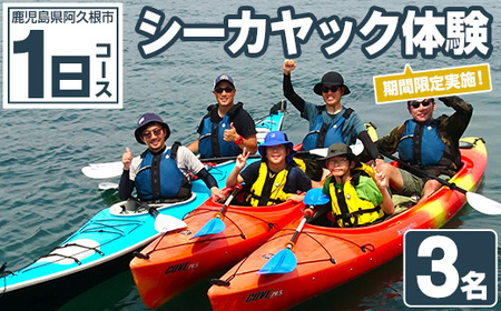 期間限定実施 シーカヤック体験チケット(1日/3名) 阿久根 シーカヤック アウトドア アクティビティ 自然 体験 ツアー チケット マリンスポーツ【パズル】akn098-17