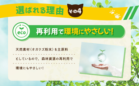 猫砂【木製 大粒】猫用 トイレ砂 6L ひのきの香り 固まる 燃やせる 流せる 天然素材　猫