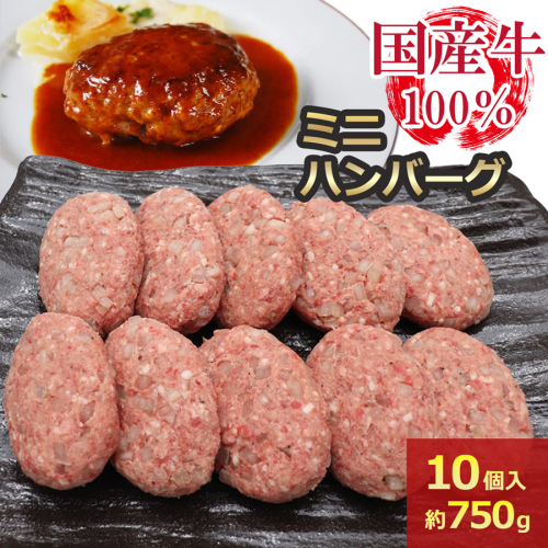 [牛壱] 国産牛100% ミニハンバーグ 75g×10個 [2334]