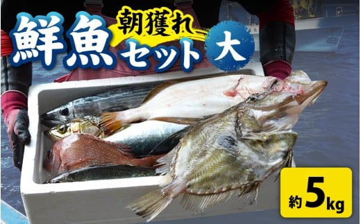 【先行予約】【1回お届け】【朝獲り】漁師厳選 鮮魚セット (大) 5種類以上 約5kg【2026年4月以降発送開始】【お届け対象月 4月,6月,8月,10月,2月】詰め合わせ 直送 鮮魚 新鮮 煮物 焼き物 お造り 刺身 晩酌 食卓 BBQ 急速冷凍 鮮魚セット 鮮魚店 厳選 お任せ 鮮度 産直 海鮮 福井県 南越前町 越前 盛り合わせ おまかせ お楽しみ 送料無料 北陸