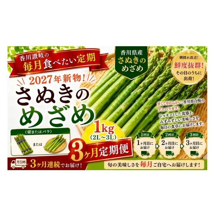 さぬきのめざめ アスパラ 香川県産 さぬきのめざめ【1kg 2L〜3L】【3ヶ月定期便】