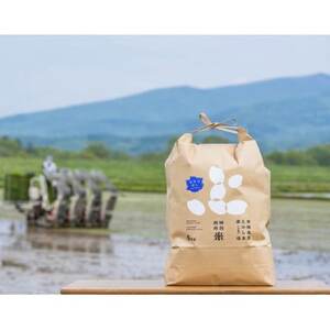 北海道産 特別栽培米ななつぼし 玄米 5kg【1543232】