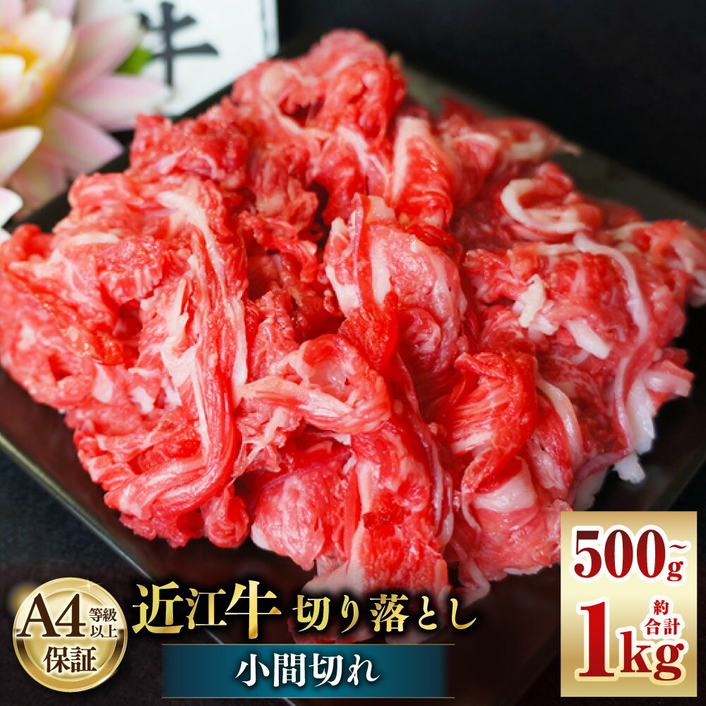 【ふるさと納税】＜選べる内容量＞近江牛 切落とし（小間切れ） 500g / 1kg 牛肉 お肉 焼肉 焼き肉 冷凍 滋賀県産 国産 滋賀県 湖南市 送料無料