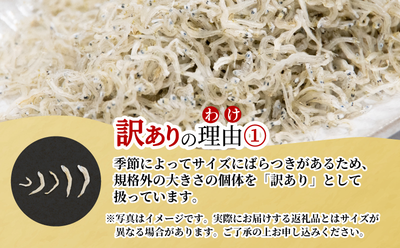 訳あり しらす 1kg 徳島県産 産地直送 大容量 冷蔵 ちりめん じゃこ 干し 魚介 乾物 グルメ ご飯のお供