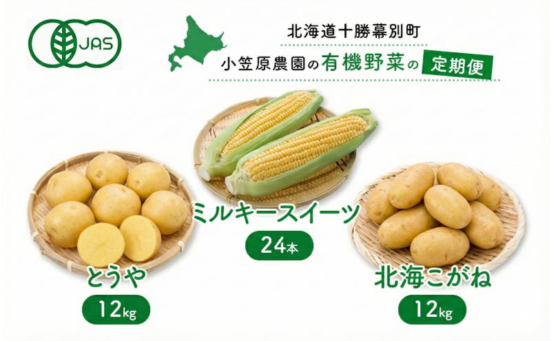 小笠原農園の有機野菜 定期便 夏「とうもろこし」ミルキースイーツ24本・秋「じゃがいも2種」とうや12kg・北海こがね12kg《2026年8月出荷開始》北海道 十勝 幕別【 スイートコーン 芋 セット 野菜 】